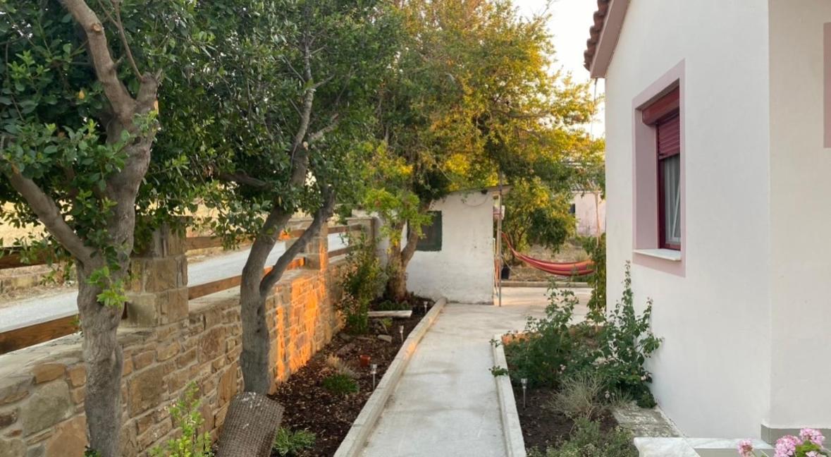 Theros Garden House *